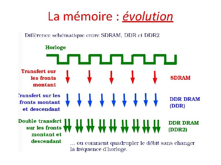 La mémoire : évolution 