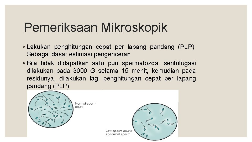 Pemeriksaan Mikroskopik ◦ Lakukan penghitungan cepat per lapang pandang (PLP). Sebagai dasar estimasi pengenceran.