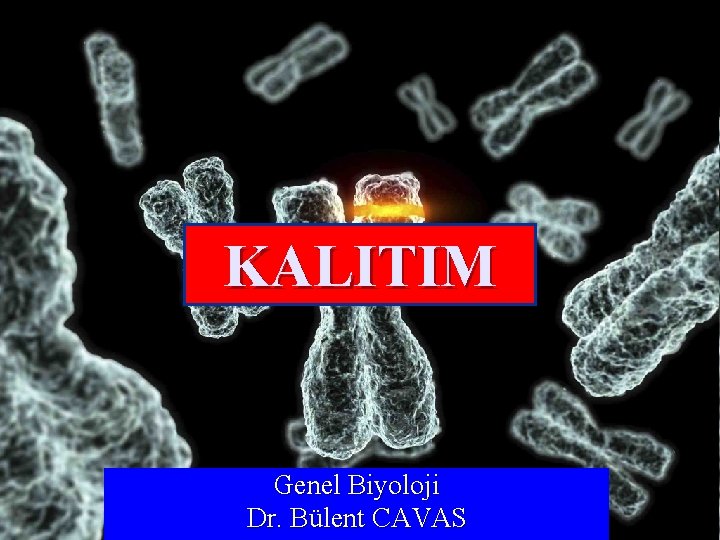 KALITIM Genel Biyoloji Dr. Bülent CAVAS 