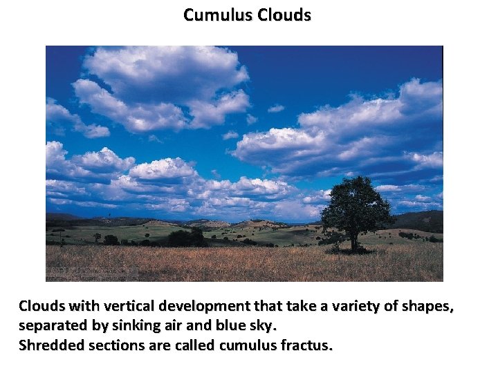 Cumulus Clouds with vertical development that take a variety of shapes, separated by sinking