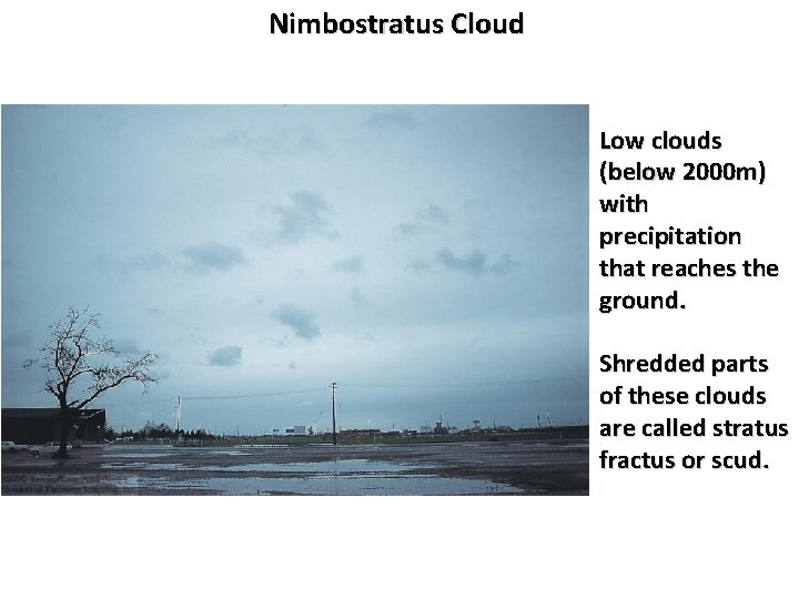 Nimbostratus Cloud Low clouds (below 2000 m) with precipitation that reaches the ground. Shredded