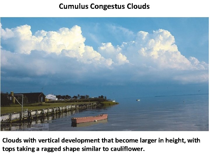 Cumulus Congestus Clouds with vertical development that become larger in height, with tops taking