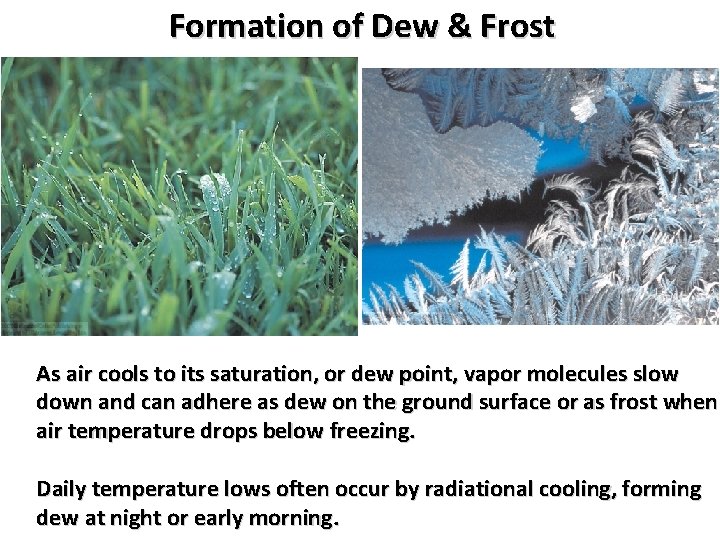 Formation of Dew & Frost As air cools to its saturation, or dew point,