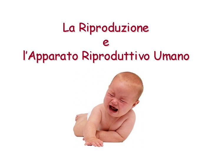 La Riproduzione e l’Apparato Riproduttivo Umano 