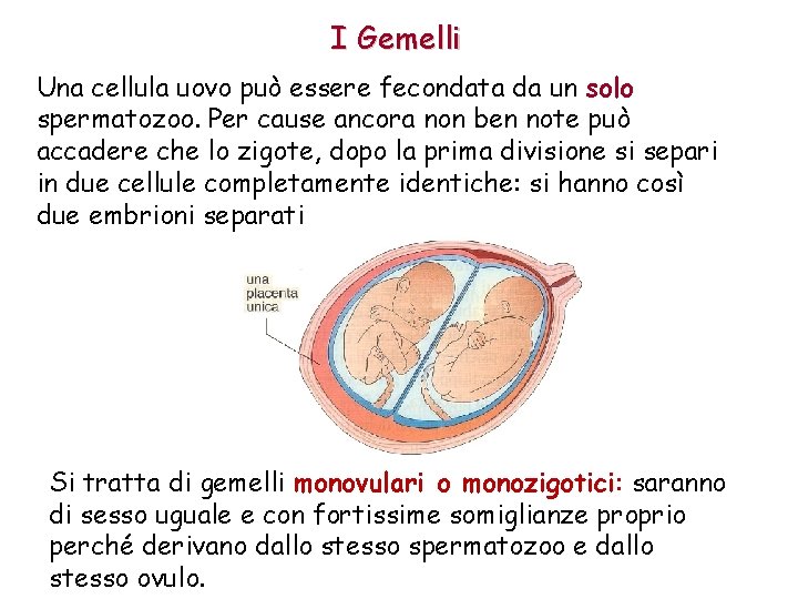 I Gemelli Una cellula uovo può essere fecondata da un solo spermatozoo. Per cause