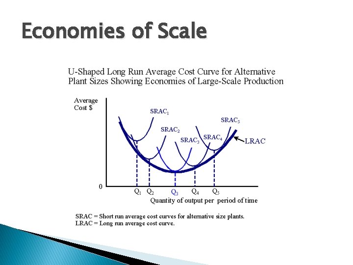 Economies of Scale 