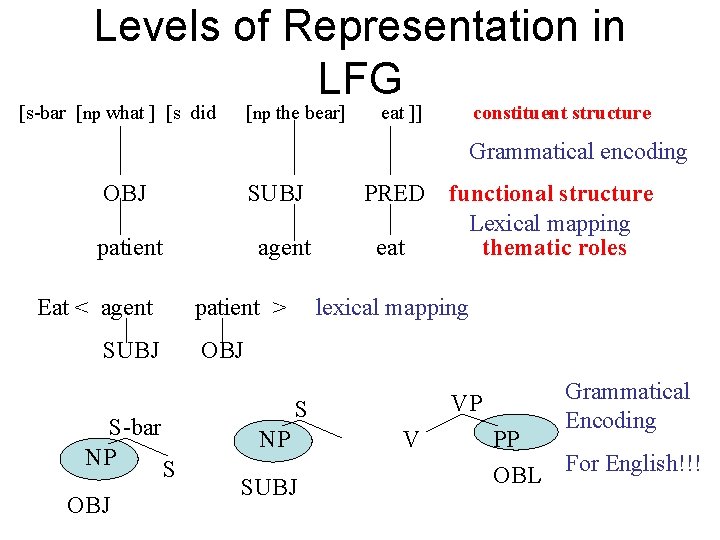 Levels of Representation in LFG [s-bar [np what ] [s did [np the bear]