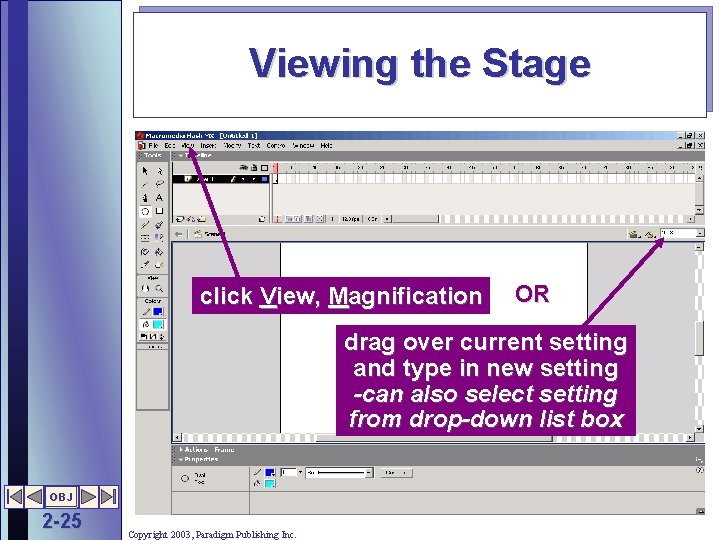 Viewing the Stage click View, Magnification OR drag over current setting and type in