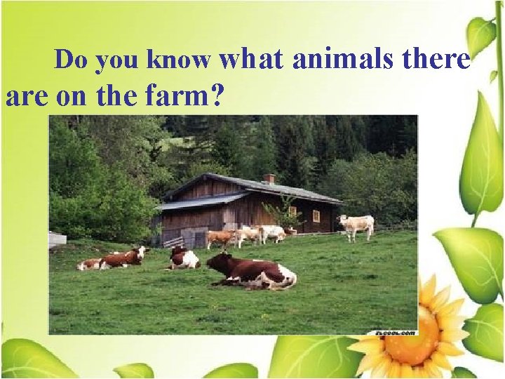  Do you know what animals there are on the farm? 