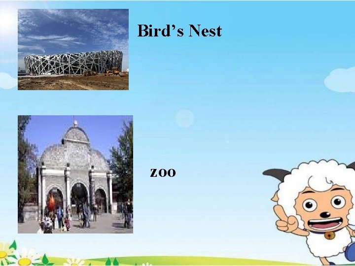 Bird’s Nest zoo 