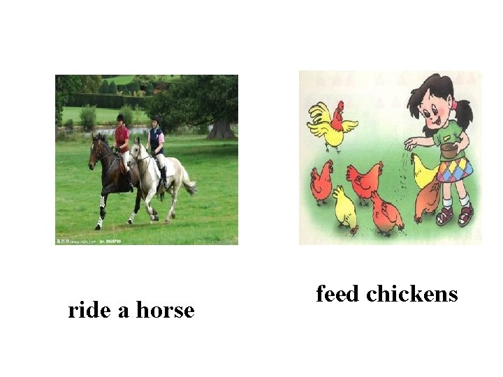 ride a horse feed chickens 