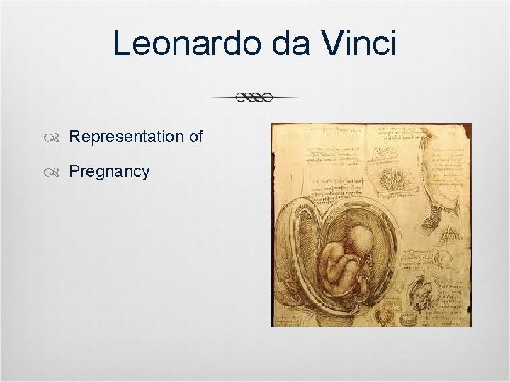 Leonardo da Vinci Representation of Pregnancy 