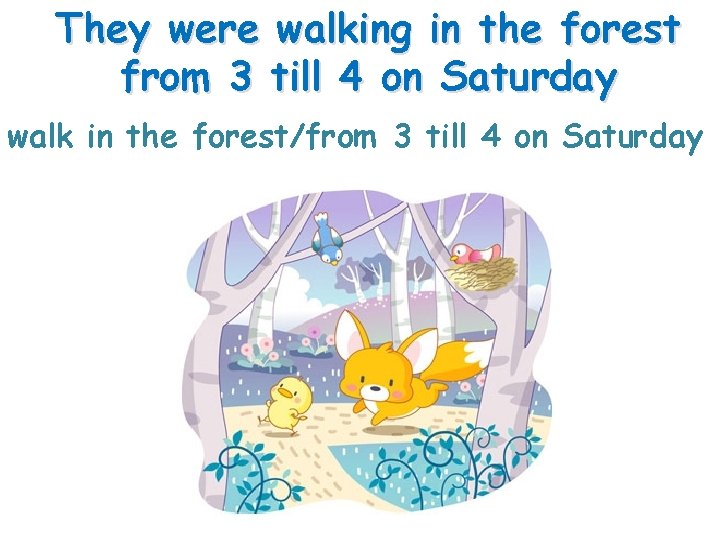 They were walking in the forest from 3 till 4 on Saturday walk in