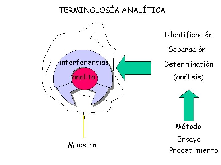TERMINOLOGÍA ANALÍTICA Identificación Separación interferencias Determinación analito (análisis) Método Muestra Ensayo Procedimiento 