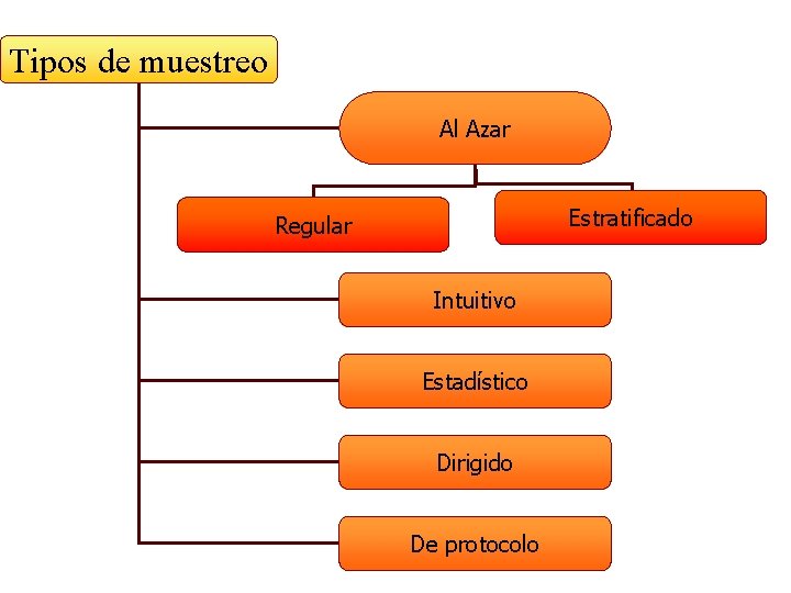 Tipos de muestreo Al Azar Estratificado Regular Intuitivo Estadístico Dirigido De protocolo 