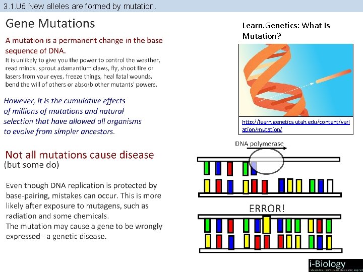 3. 1. U 5 New alleles are formed by mutation. Learn. Genetics: What Is