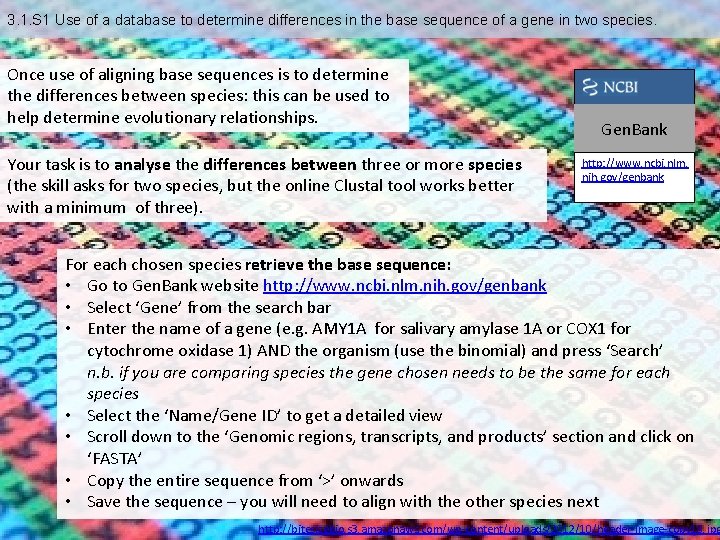 3. 1. S 1 Use of a database to determine differences in the base