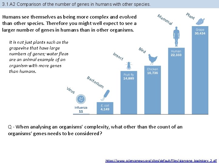 3. 1. A 2 Comparison of the number of genes in humans with other