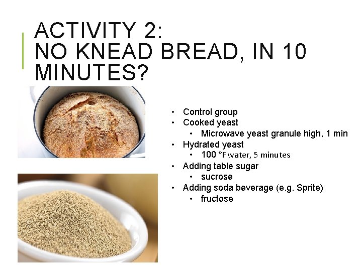 ACTIVITY 2: NO KNEAD BREAD, IN 10 MINUTES? • Control group • Cooked yeast