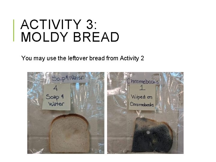 ACTIVITY 3: MOLDY BREAD You may use the leftover bread from Activity 2 