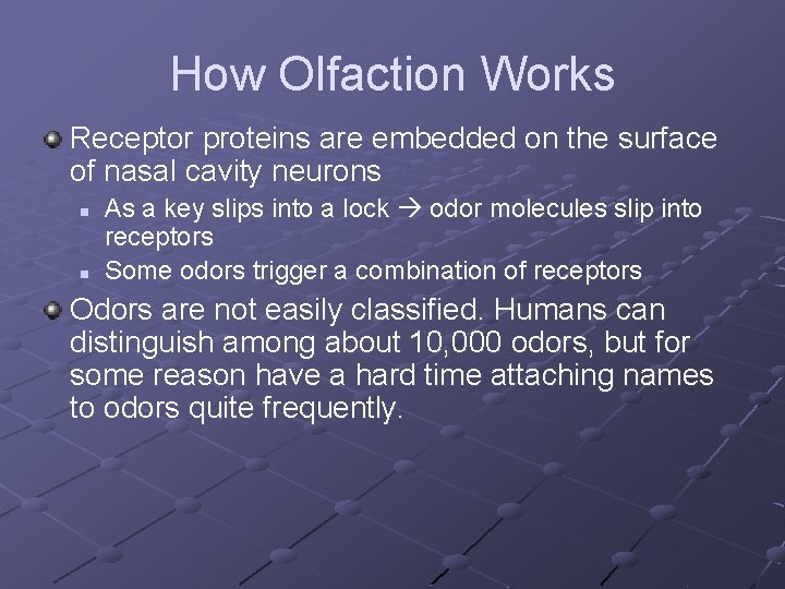 How Olfaction Works Receptor proteins are embedded on the surface of nasal cavity neurons