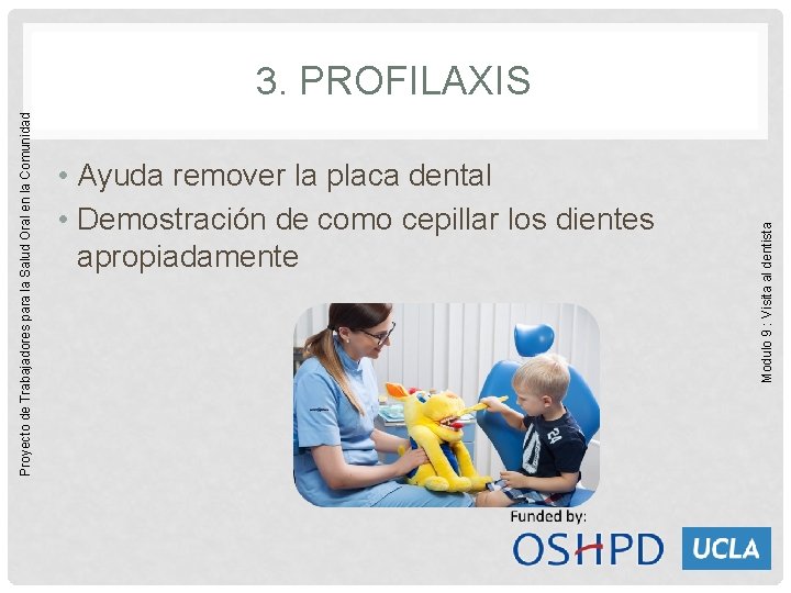  • Ayuda remover la placa dental • Demostración de como cepillar los dientes