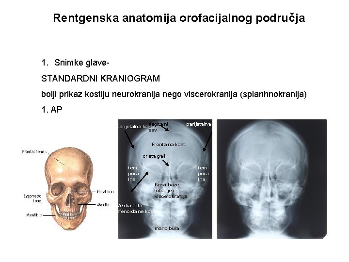 Rentgenska anatomija orofacijalnog područja 1. Snimke glave. STANDARDNI KRANIOGRAM bolji prikaz kostiju neurokranija nego