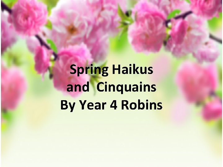 Spring Haikus and Cinquains By Year 4 Robins 