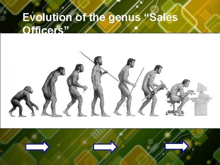 Evolution of the genus “Sales Officers” 