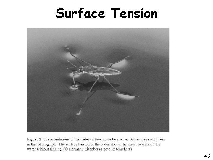 Surface Tension ME 6260/EECE 7244 43 