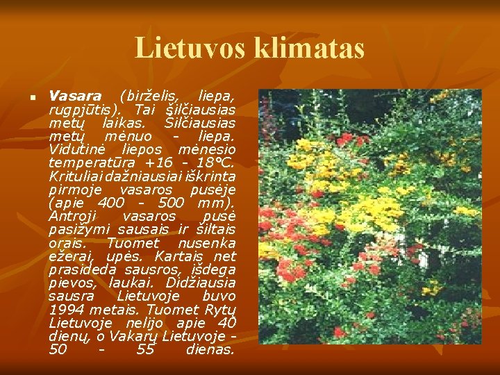 Lietuvos klimatas n Vasara (birželis, liepa, rugpjūtis). Tai šilčiausias metų laikas. Šilčiausias metų mėnuo