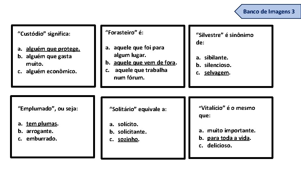 Banco de Imagens 3 “Custódio” significa: “Forasteiro” é: a. alguém que protege. b. alguém