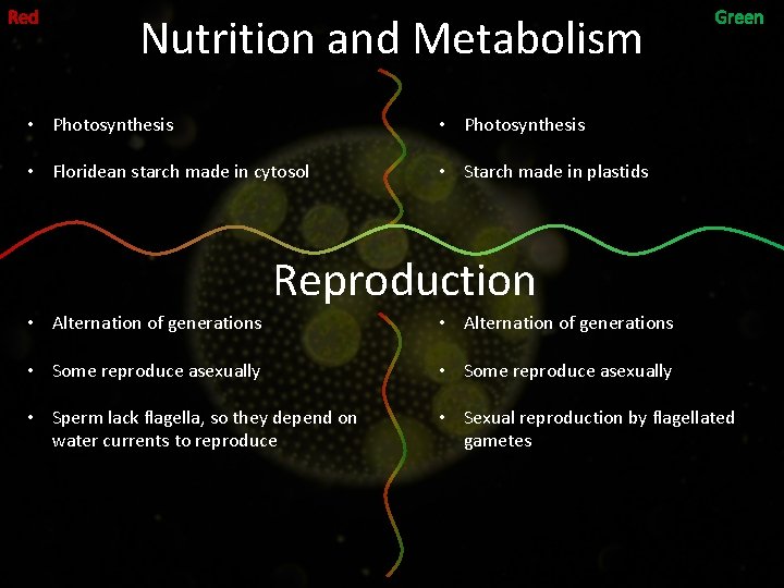 Nutrition and Metabolism • Photosynthesis • Floridean starch made in cytosol • Starch made