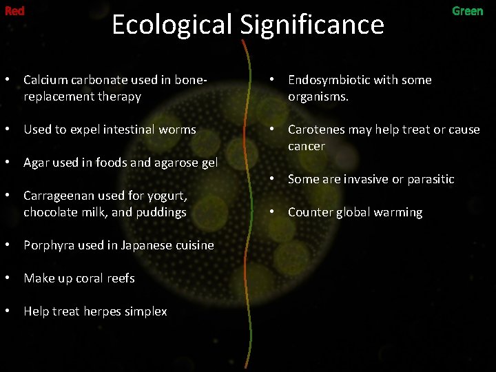 Ecological Significance • Calcium carbonate used in bonereplacement therapy • Endosymbiotic with some organisms.