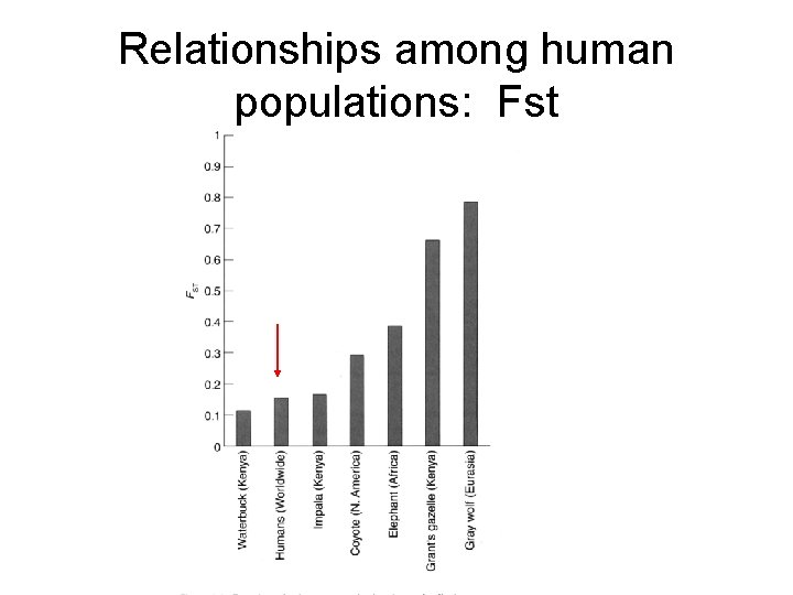 Relationships among human populations: Fst 