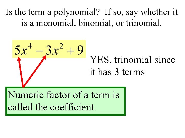 Is the term a polynomial? If so, say whether it is a monomial, binomial,