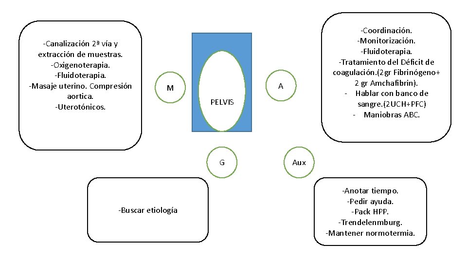 -Canalización 2ª vía y extracción de muestras. -Oxigenoterapia. -Fluidoterapia. -Masaje uterino. Compresión aortica. -Uterotónicos.