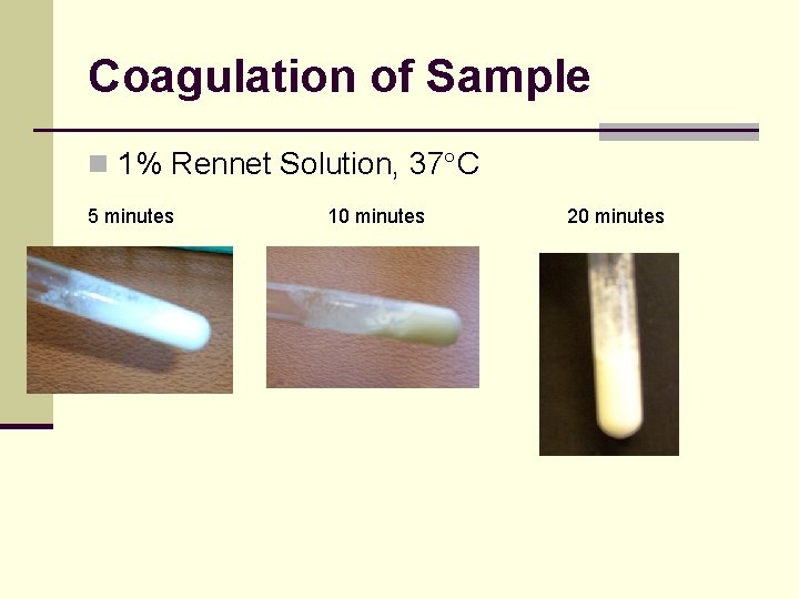 Coagulation of Sample n 1% Rennet Solution, 37 C 5 minutes 10 minutes 20