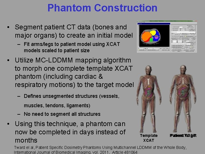 Phantom Construction • Segment patient CT data (bones and major organs) to create an