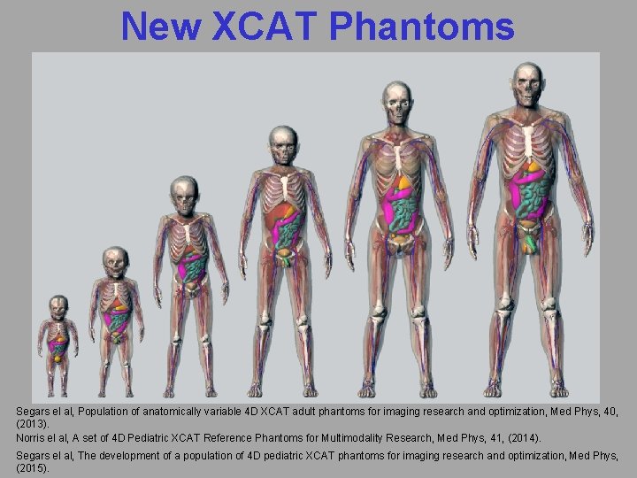 New XCAT Phantoms Segars el al, Population of anatomically variable 4 D XCAT adult