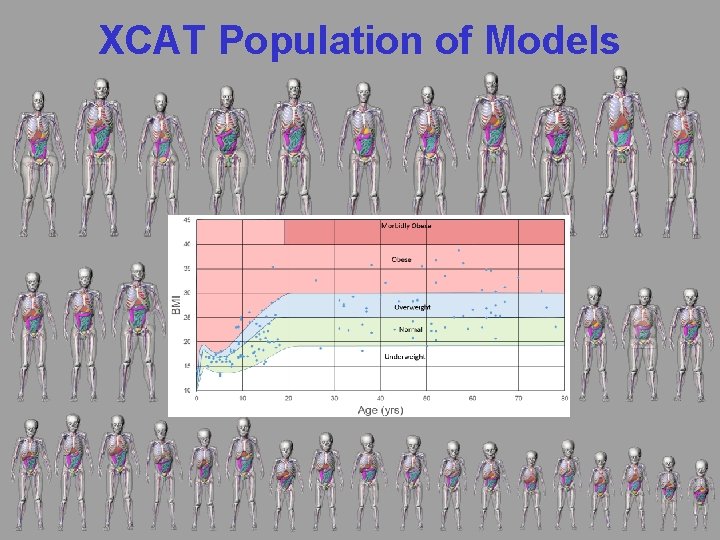 XCAT Population of Models 