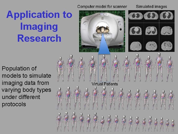 Application to Imaging Research Population of models to simulate imaging data from varying body