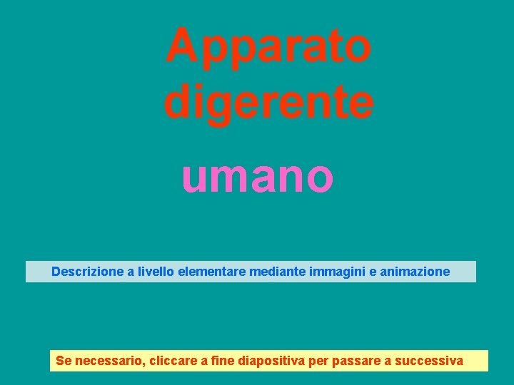 Apparato digerente umano Descrizione a livello elementare mediante immagini e animazione Se necessario, cliccare