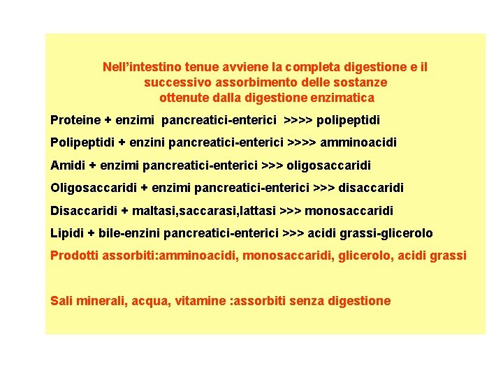 Nell’intestino tenue avviene la completa digestione e il successivo assorbimento delle sostanze ottenute dalla