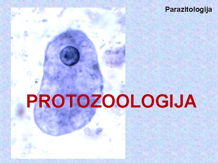 Parazitologija PROTOZOOLOGIJA 