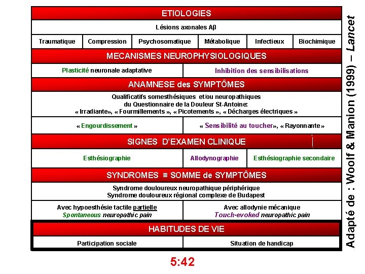 Lésions axonales Aβ Traumatique Compression Psychosomatique Métabolique Infectieux Biochimique MECANISMES NEUROPHYSIOLOGIQUES Inhibition des sensibilisations