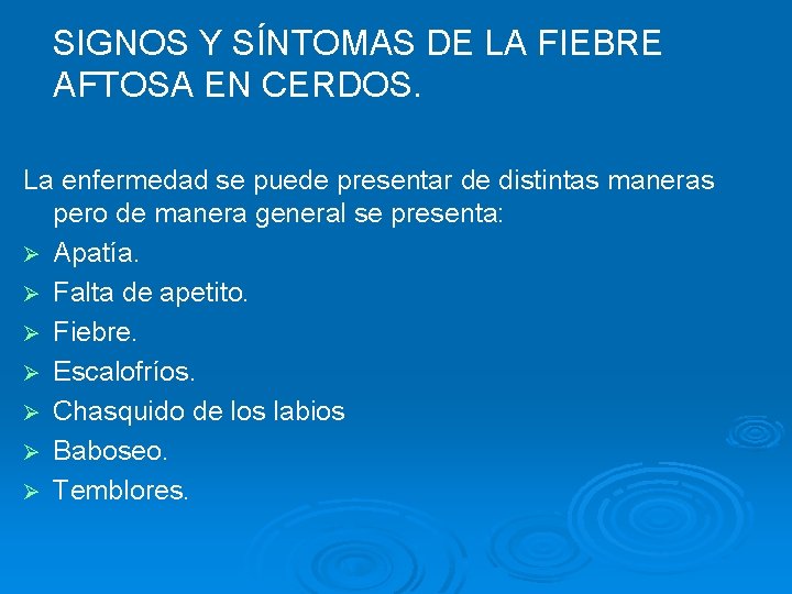  SIGNOS Y SÍNTOMAS DE LA FIEBRE AFTOSA EN CERDOS. La enfermedad se puede