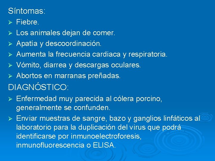 Síntomas: Ø Ø Ø Fiebre. Los animales dejan de comer. Apatía y descoordinación. Aumenta