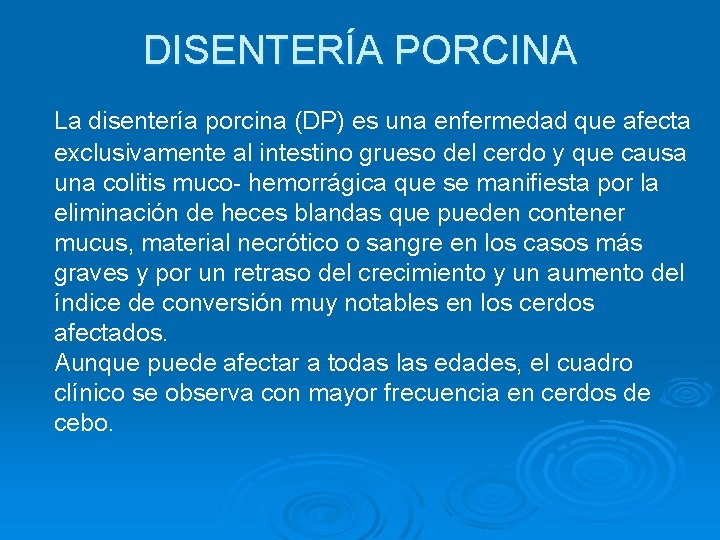 DISENTERÍA PORCINA La disentería porcina (DP) es una enfermedad que afecta exclusivamente al intestino