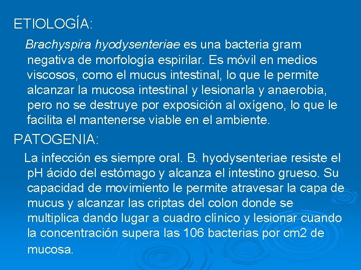 ETIOLOGÍA: Brachyspira hyodysenteriae es una bacteria gram negativa de morfología espirilar. Es móvil en